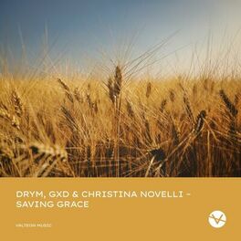 Album cover of Saving Grace