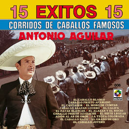 Album cover of 15 Éxitos: Corridos de Caballos Famosos