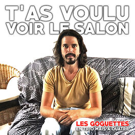 Album cover of T'as voulu voir le salon