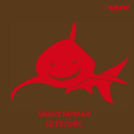 Album cover of Seternic