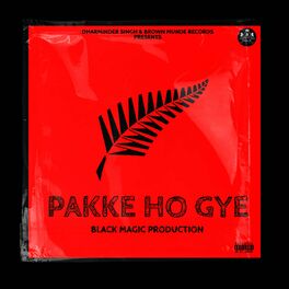 Album cover of PAKKE HO GYE