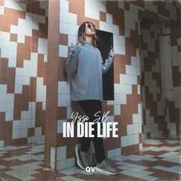 Album cover of In Die Life