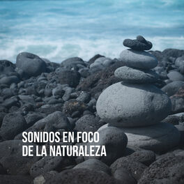 Album cover of Relájese la lluvia