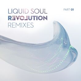 Album cover of Revolution Remixes, Pt. 1