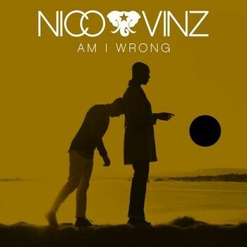 Am I Wrong cover