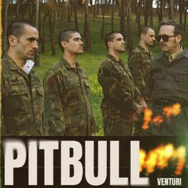 Album cover of Pitbull