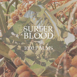 Album cover of 1000 Palms