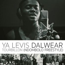 Album cover of Tourbillon (Ndombolo Freestyle)