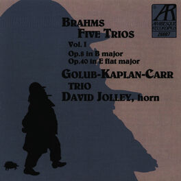 Album cover of Brahms: Five Trios, Volume I