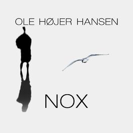 Album picture of Nox