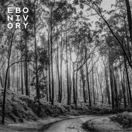 Album cover of Ebonivory II