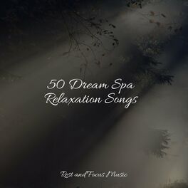 Album cover of 50 Dream Spa Relaxation Songs