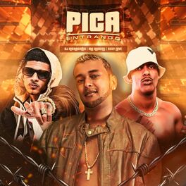 Album cover of Pica Entrando