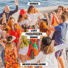 Album picture of Never Going Home (Lost Frequencies Remix)