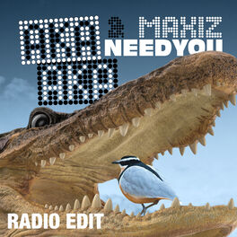Album cover of Need You (Radio Edit)