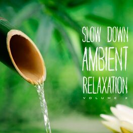 Album cover of Slow Down Ambient Relaxation, Vol. 2