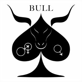 Album cover of Bull