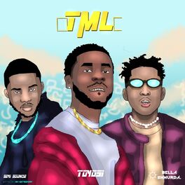Album cover of Tml
