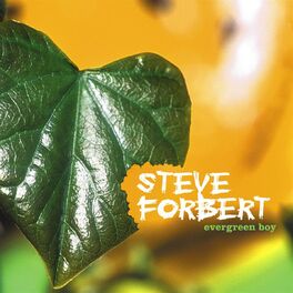 Album cover of Evergreen Boy