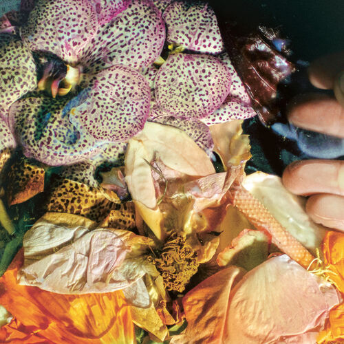 Album artwork