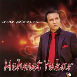 Album cover of İnsan Gelmez mi