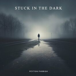 Album cover of Stuck In The Dark