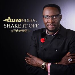 Album cover of Shake It Off