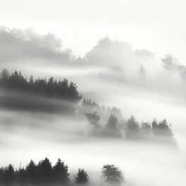 Album cover of Melodic Mists of the Orient