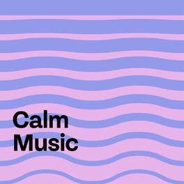 Album cover of Calm Music