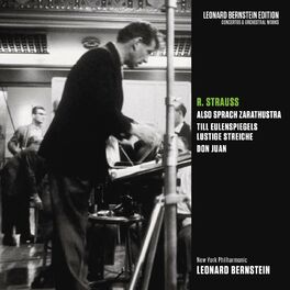 Album cover of Strauss: Also sprach Zarathustra, Op. 30 & Till Eulenspiegels lustige Streiche, Op. 28 & Don Juan, Op. 20