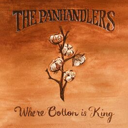 Album cover of Where Cotton Is King