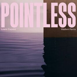 Album cover of Pointless (Madism Remix)