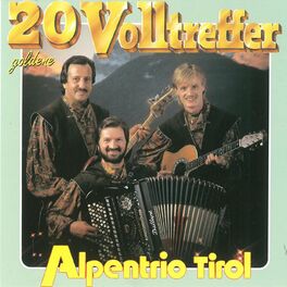 Album cover of 20 goldene Volltreffer
