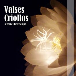 Album cover of Valses Criollos (A Través del Tiempo...)