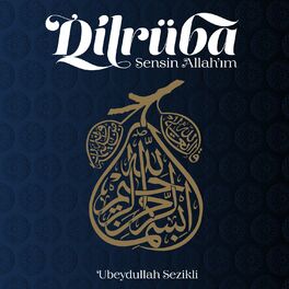 Album cover of Dilrüba, Sensin Allah'ım