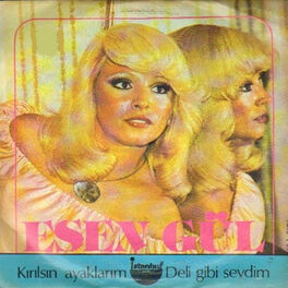 Album cover of Deli Gibi Sevdim (45'lik)