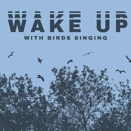 Bird Song Group: albums, songs, playlists