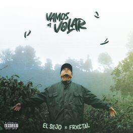 Album cover of Vamos a Volar