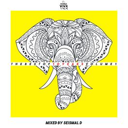 Album cover of The Best of 10 Years Volume 1 (Mixed by Seismal D)