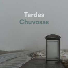Album cover of Tardes Chuvosas
