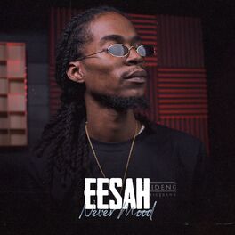 Album cover of Never Mood