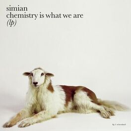 Album cover of Chemistry Is What We Are