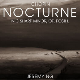 Album picture of Nocturne No. 20 in C-Sharp Minor, Op. Posth.