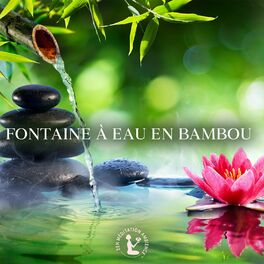 Album cover of Fontaine à eau en bambou: Musique zen relaxante et sons de fontaine d'eau en bambou, Atmosphère calme pour la méditation, Yoga et 