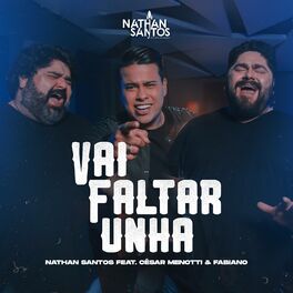 Album cover of Vai Faltar Unha