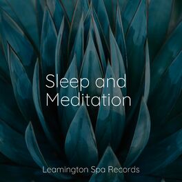 Album cover of Sleep and Meditation