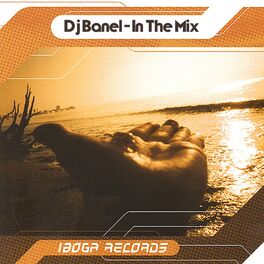 Album cover of DJ Banel in the Mix