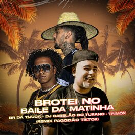 Album cover of Brotei no Baile da Matinha (Remix Pagodão Tiktok)