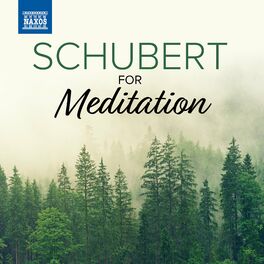 Album cover of Schubert For Meditation