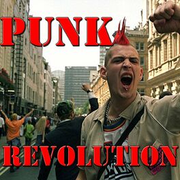 Album cover of Punk Revolution, Vol.3 (Live)